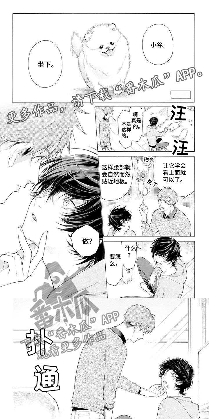 第4章：看门犬0