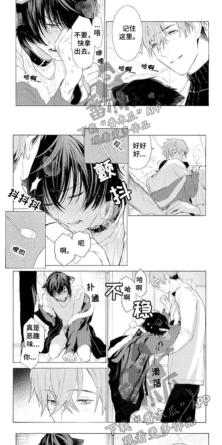 第10章：遛狗4