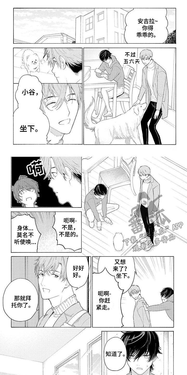第6章：坐下6