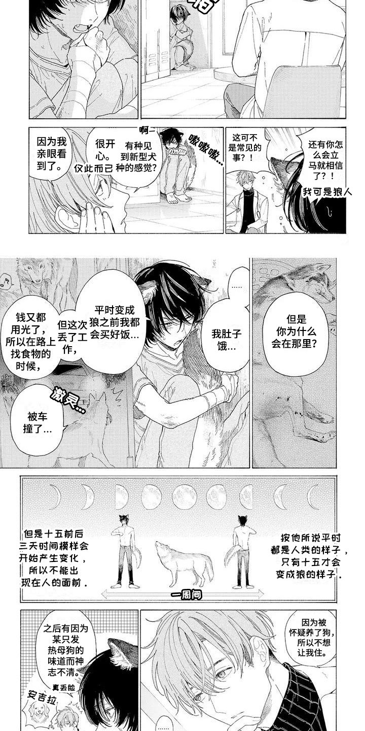 第2章：再次光临2
