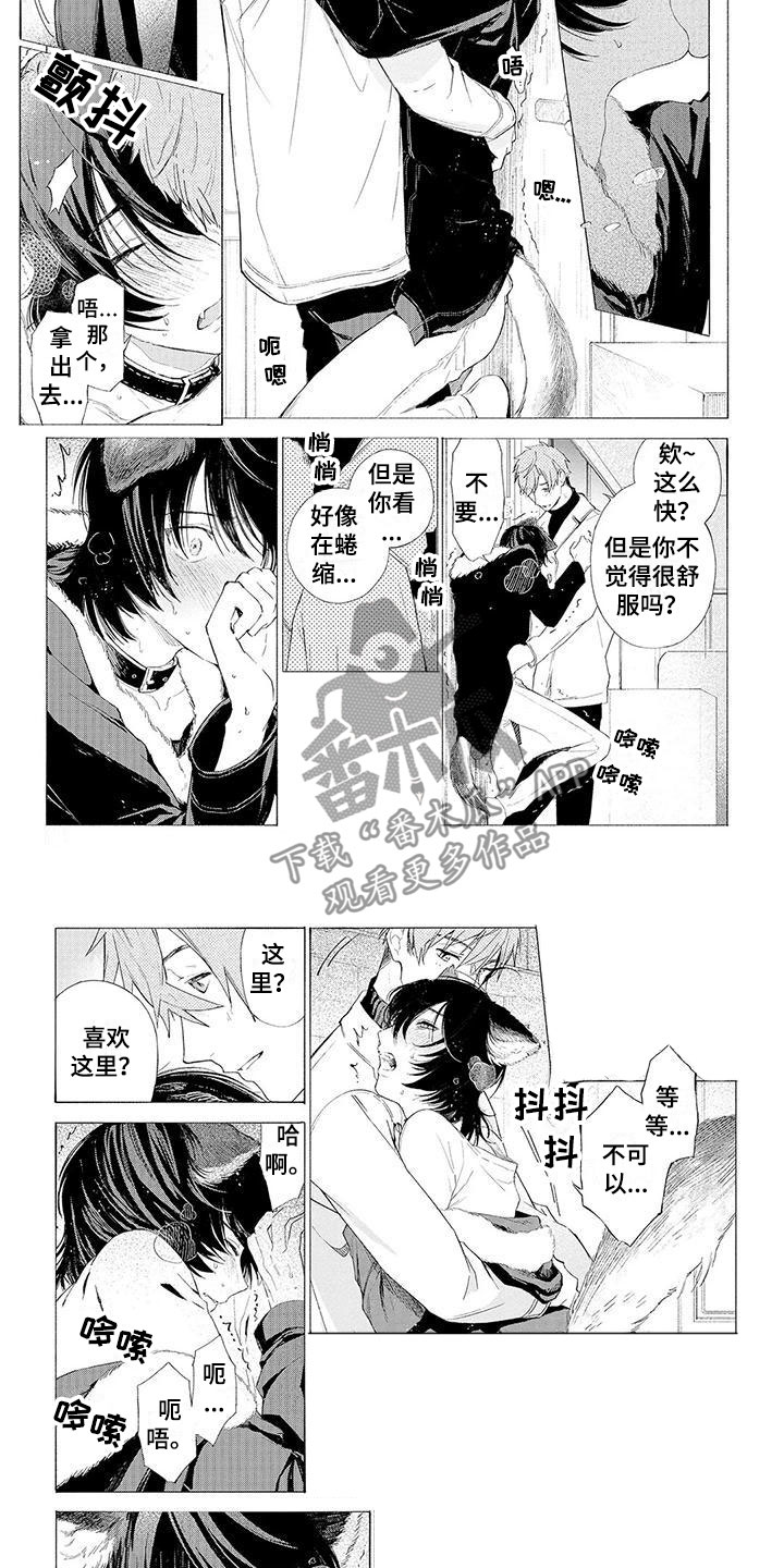 第10章：遛狗3