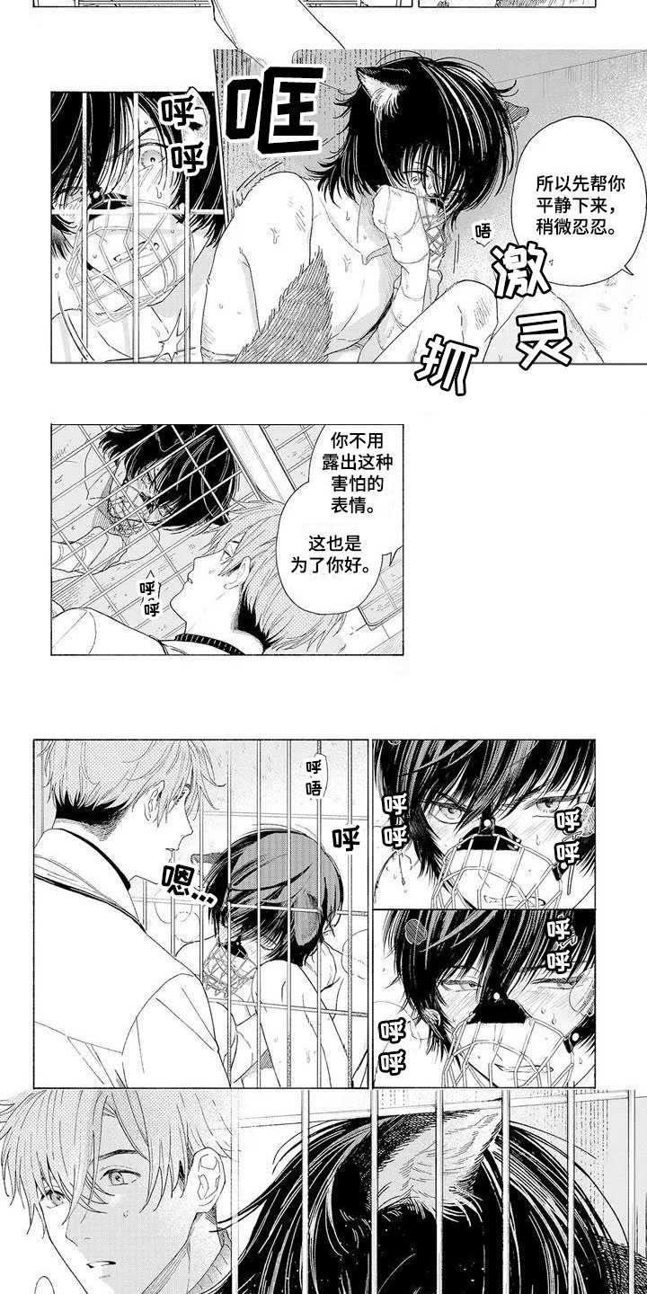 第1章：可爱的狼人6