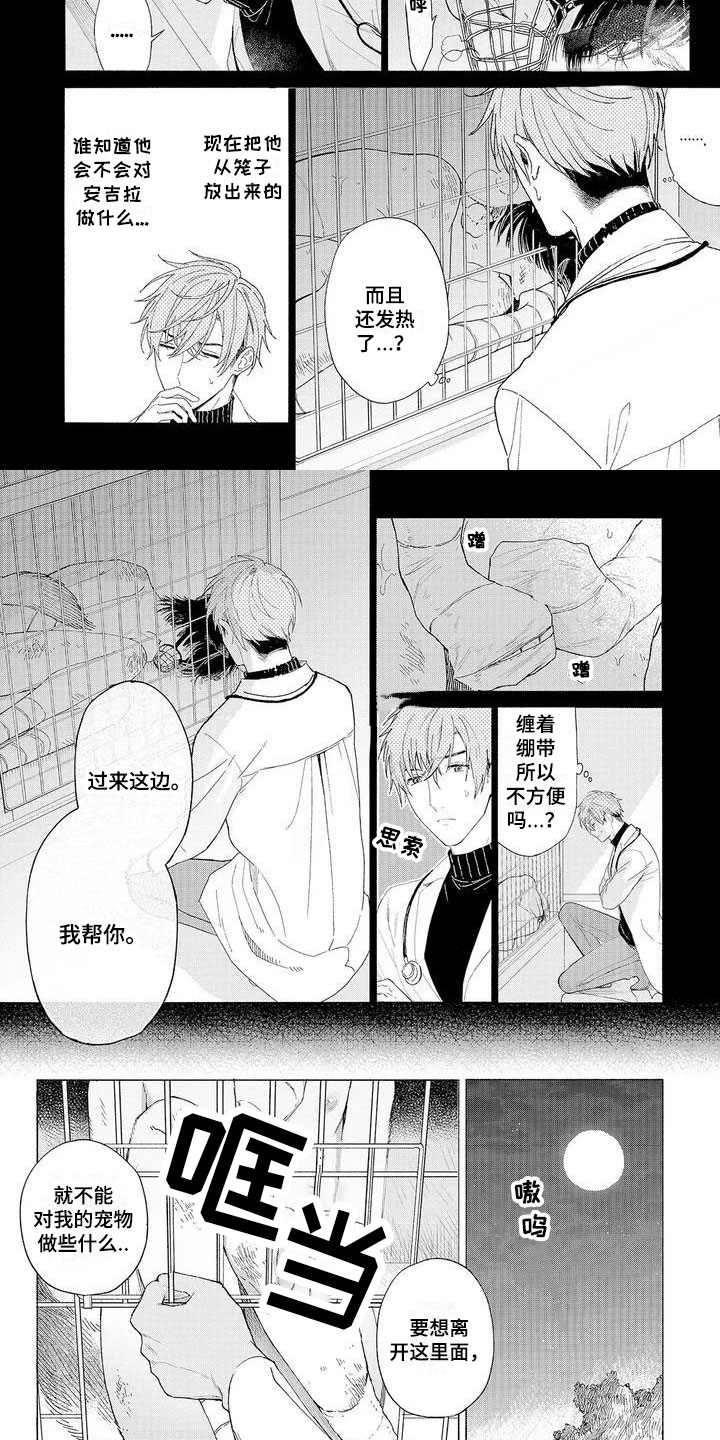 第1章：可爱的狼人5
