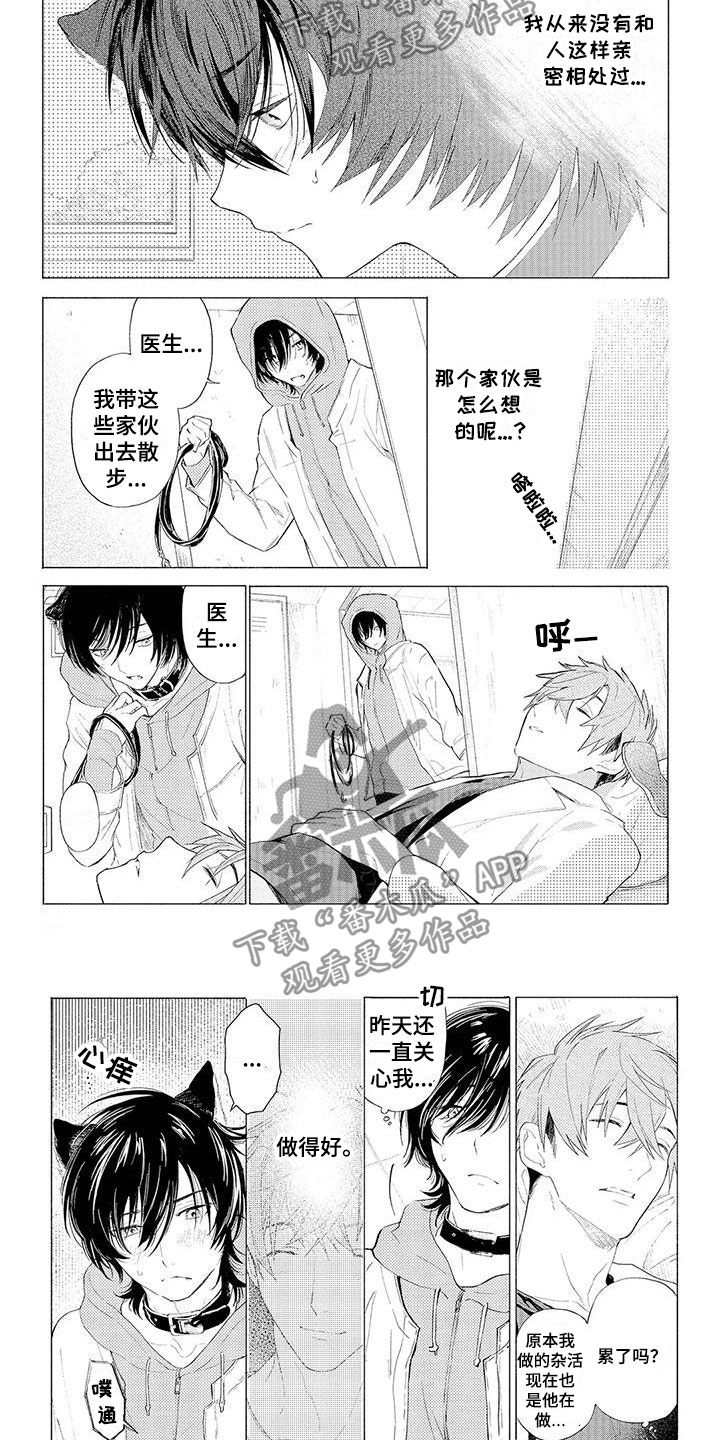 第11章：心跳加速5