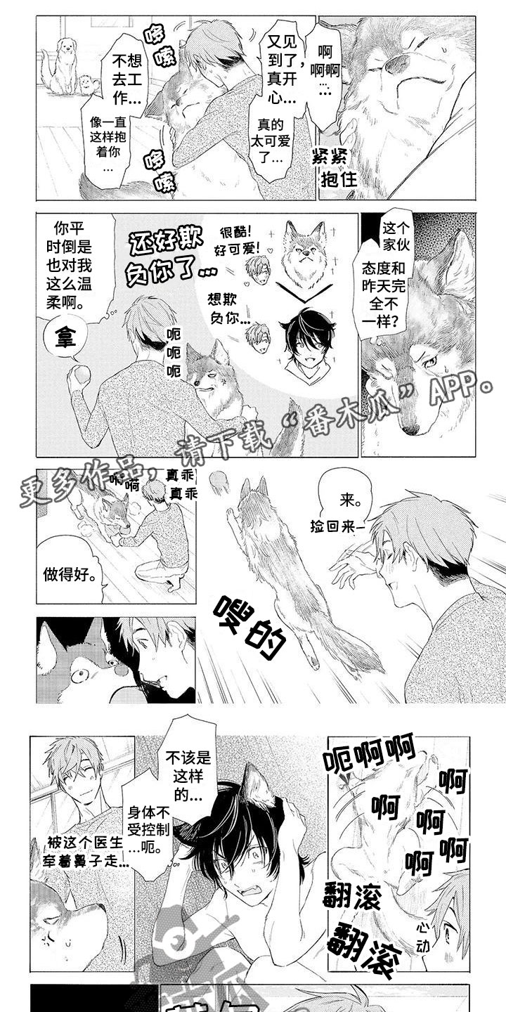第11章：心跳加速0