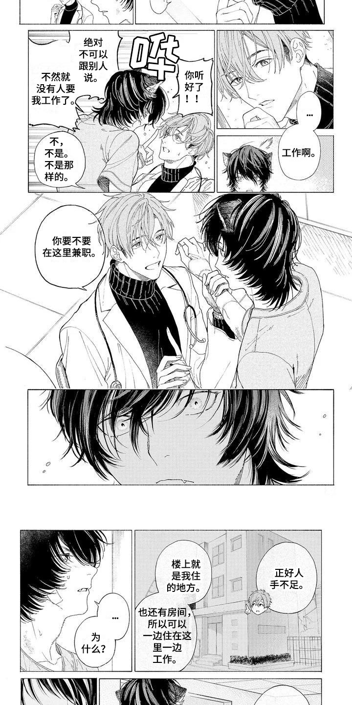 第2章：再次光临3