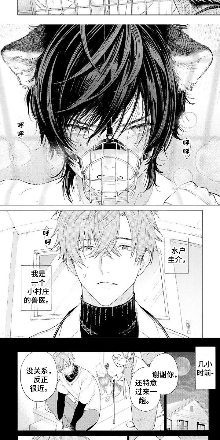 第1章：可爱的狼人1