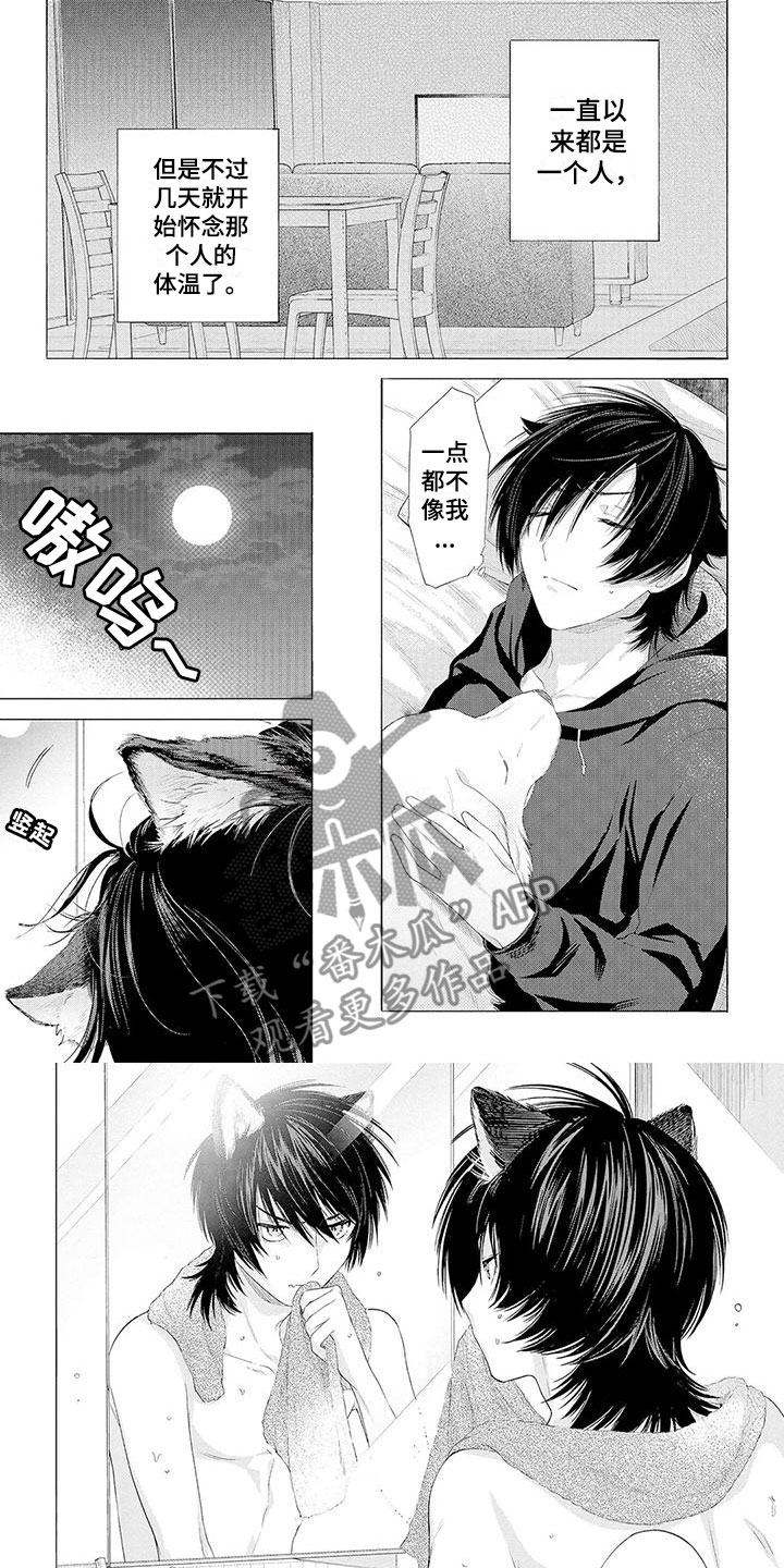 第7章：孤单5