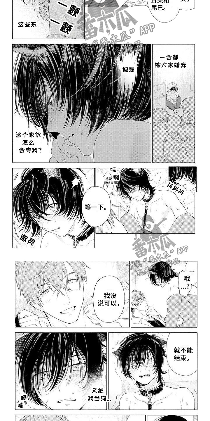第12章：突变4