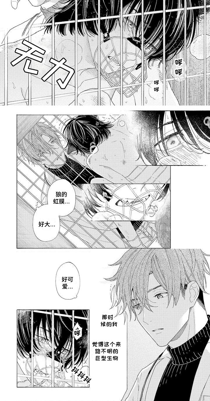 第1章：可爱的狼人7