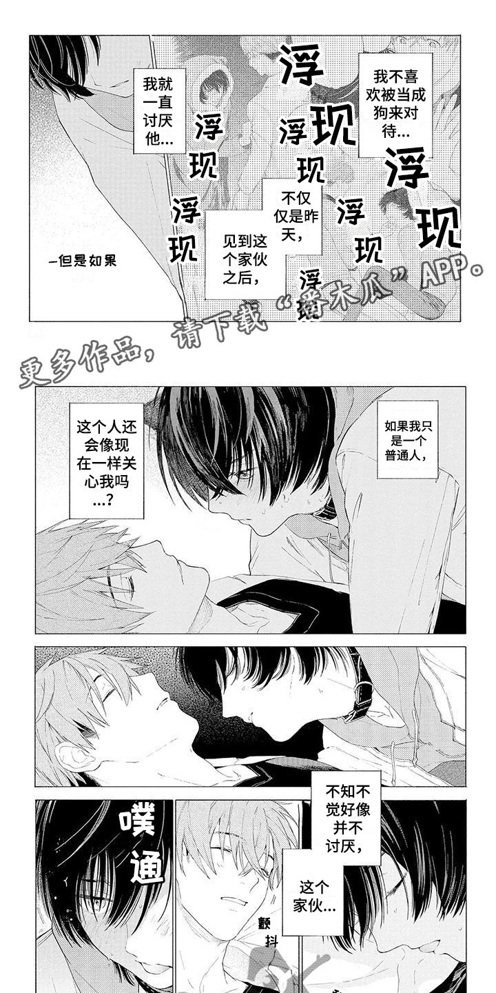 第12章：突变0
