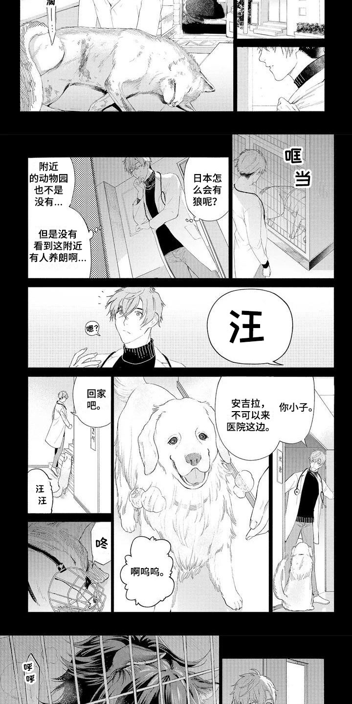 第1章：可爱的狼人3