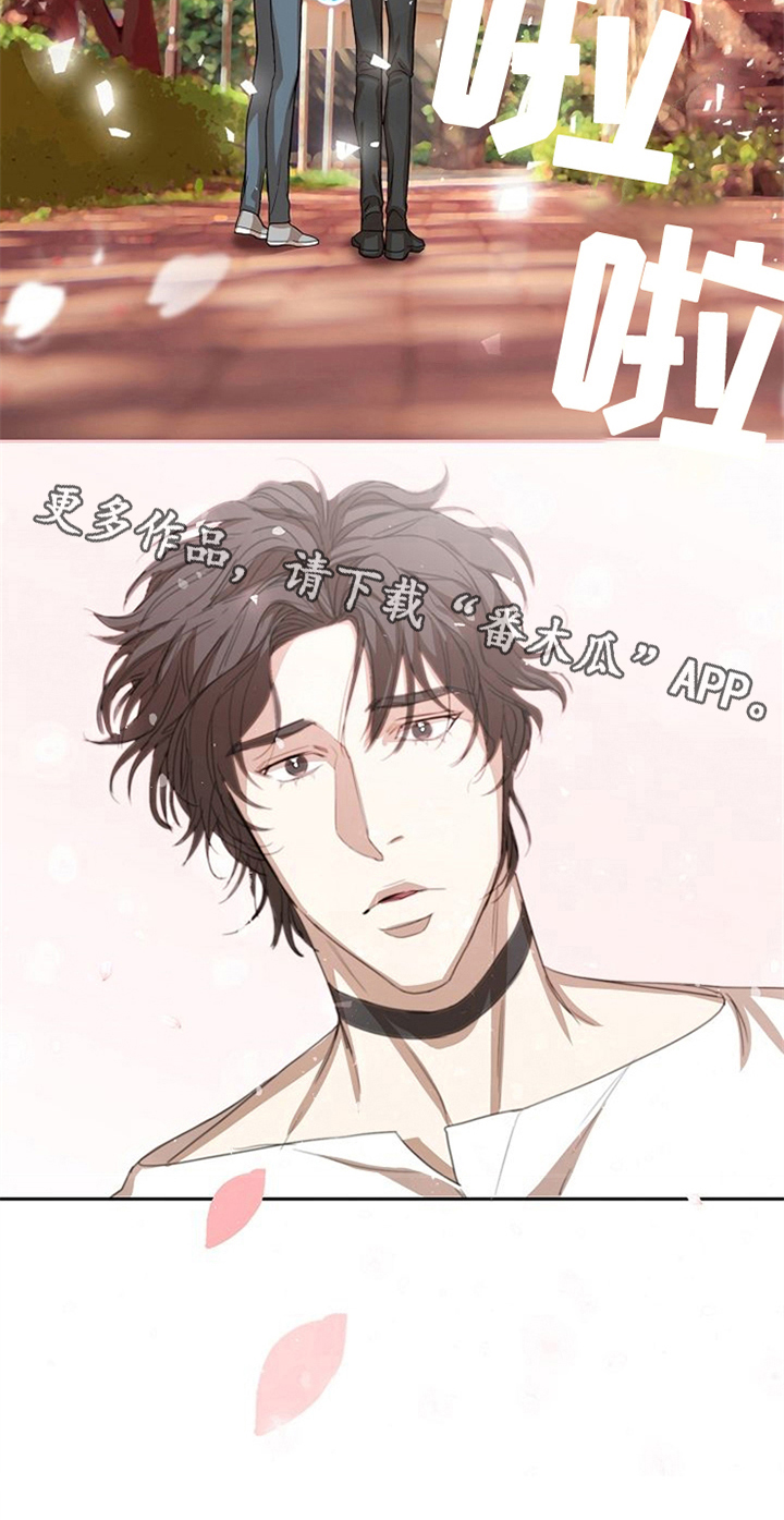 第29章：不在意21