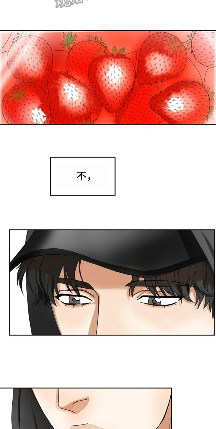 第17章：好吃的3