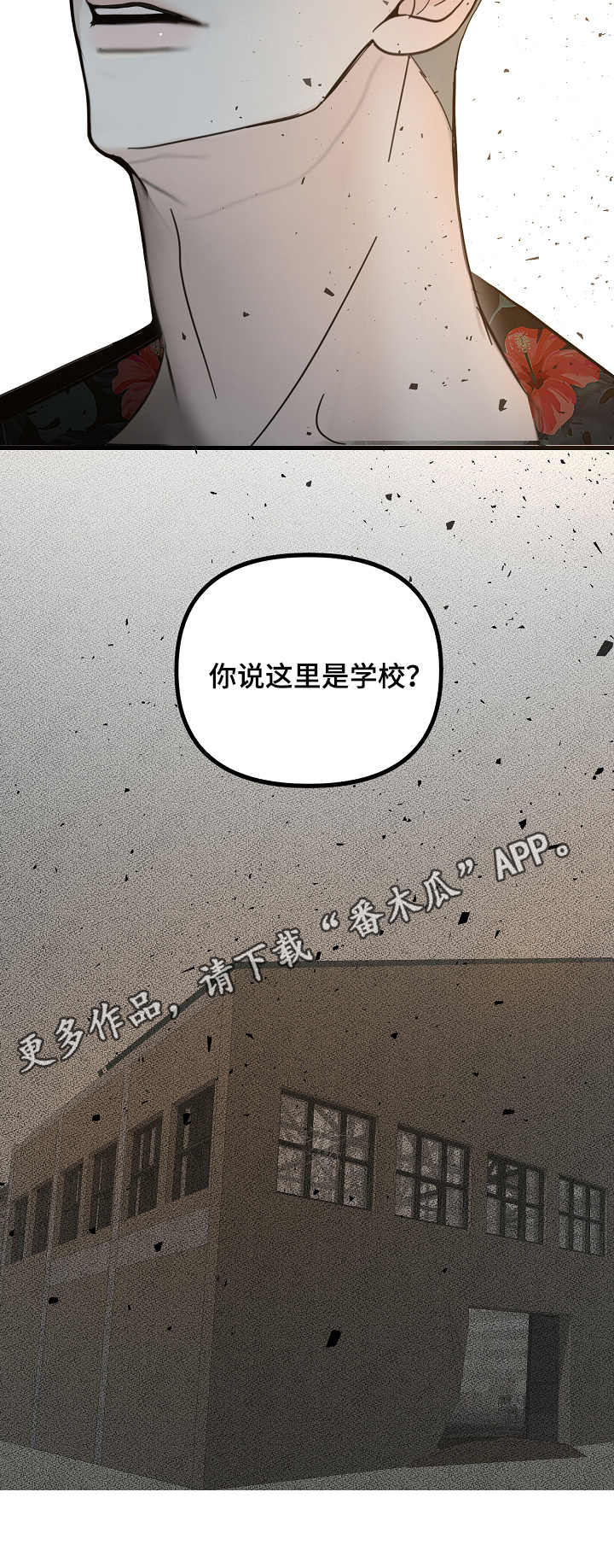 第19章：介绍2