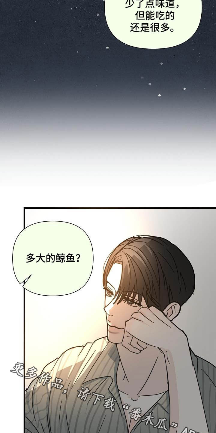 第30章：鲸鱼22