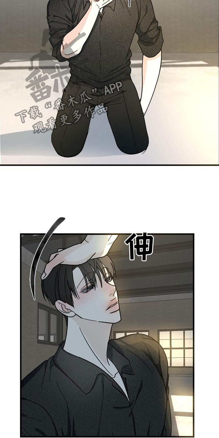 第53章：【第二季】补偿6