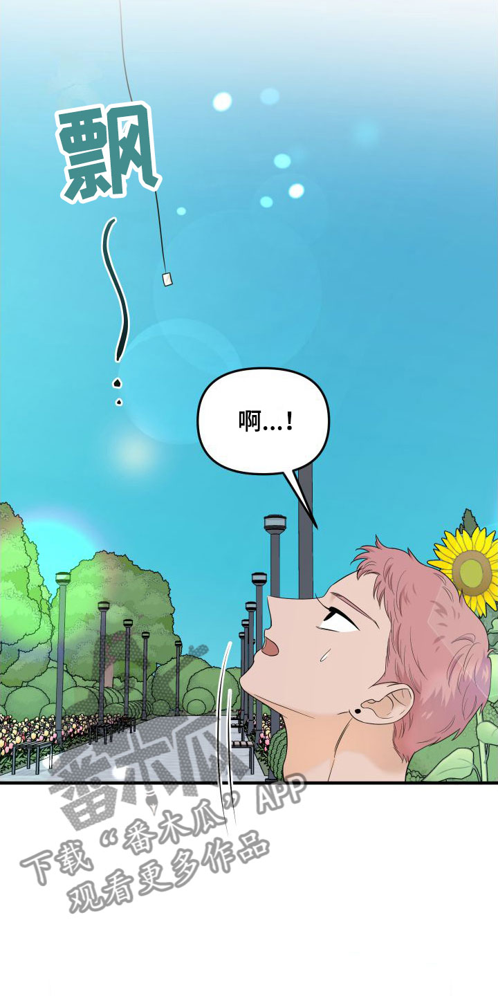 第22章： 他的计划11