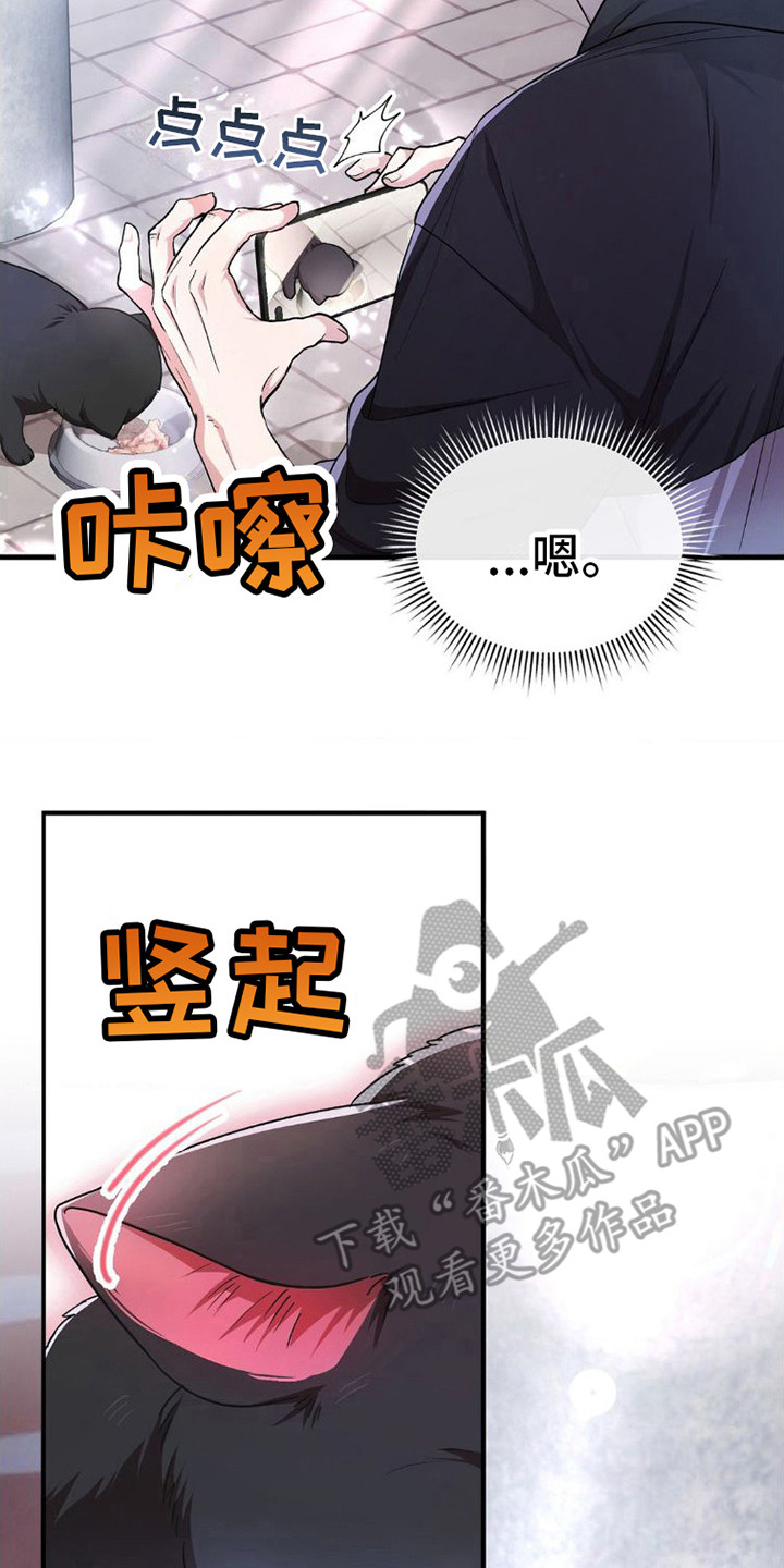第11章：吓一跳13