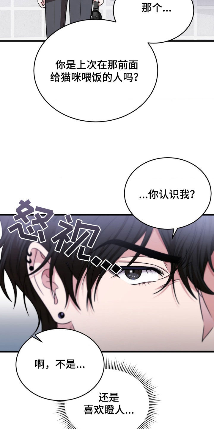 第19章：评价3