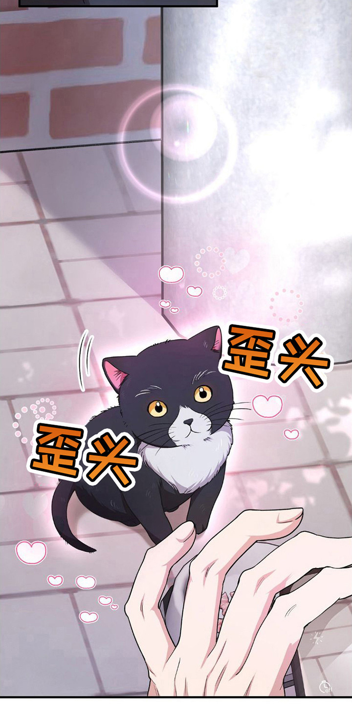 第11章：吓一跳14
