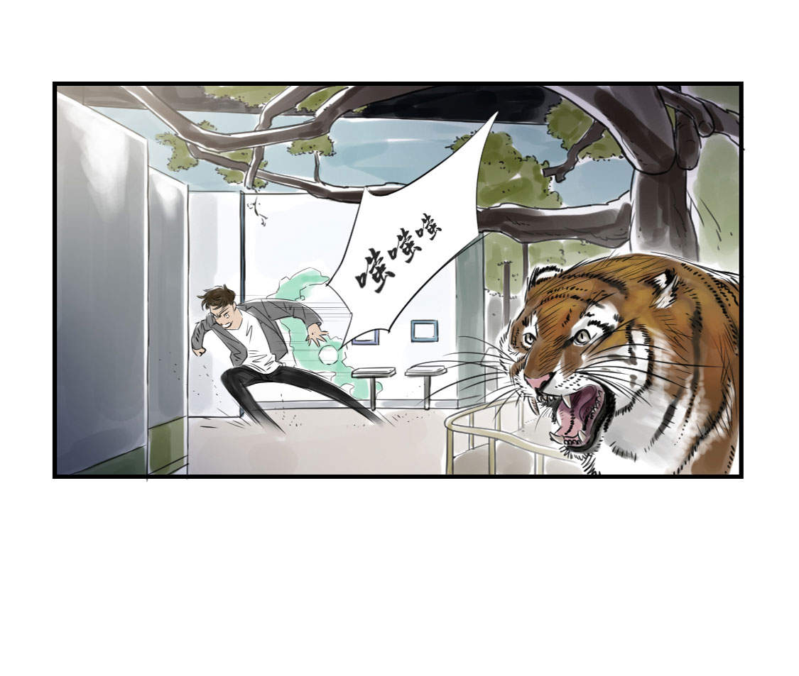 第11章：消失的动物（二）32
