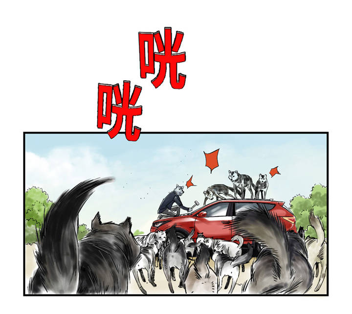 第37章：赌上警察生涯15
