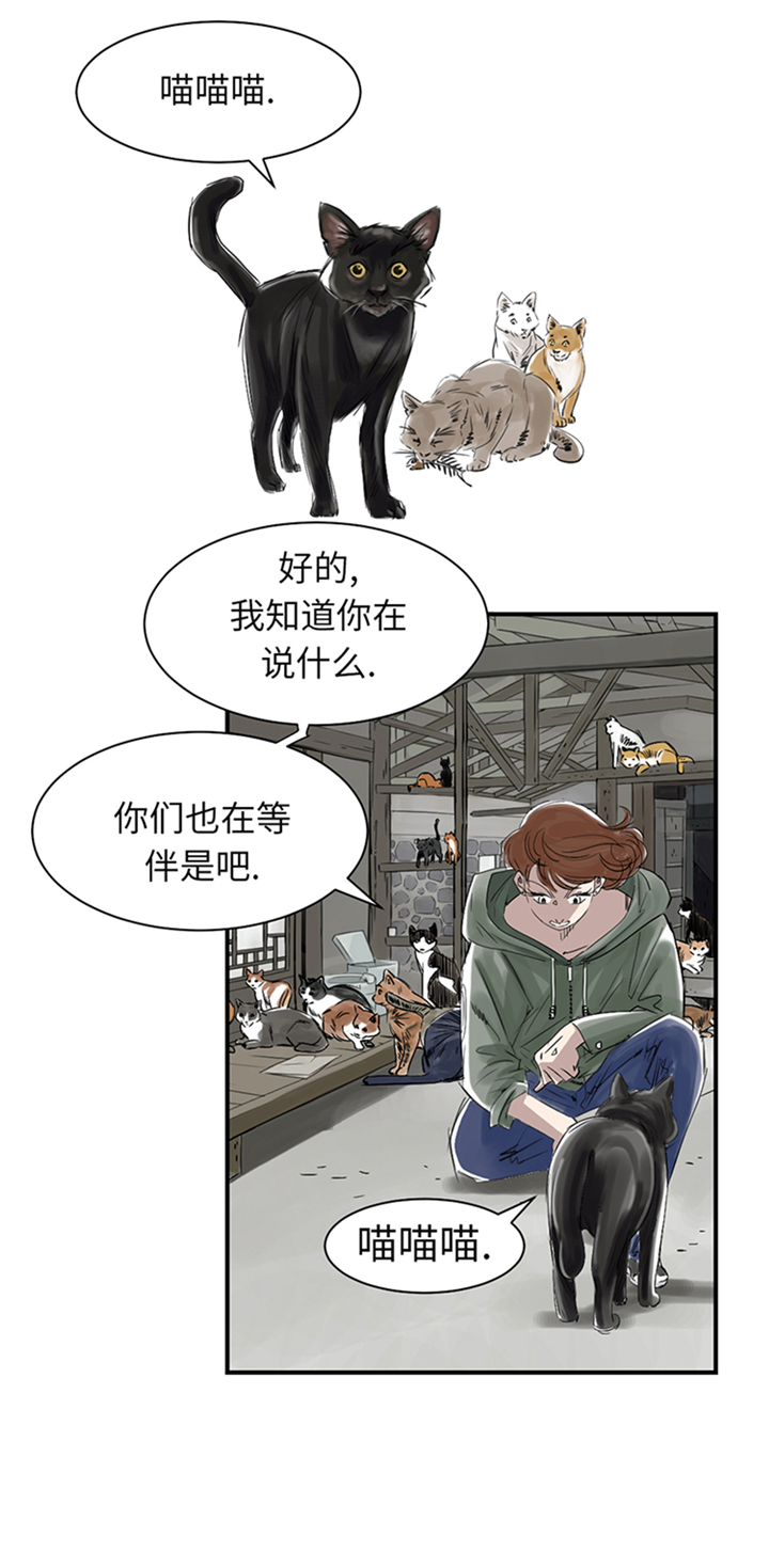 第78章：刺杀行动15
