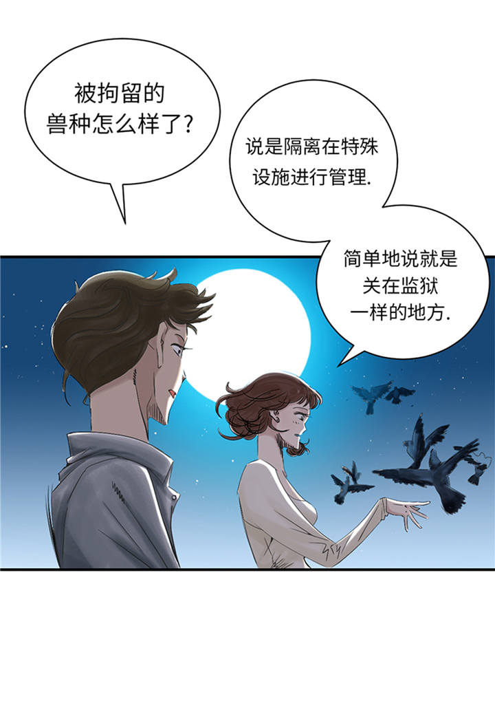 第94章：永不结束的战争(大结局)30