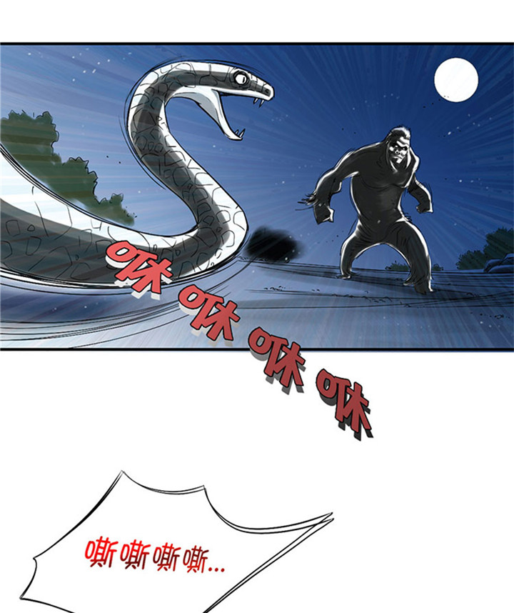 第59章：撕烂你的嘴20