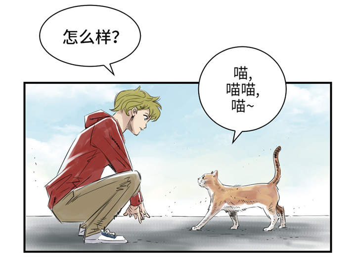 第24章：持续的杀人事件 6