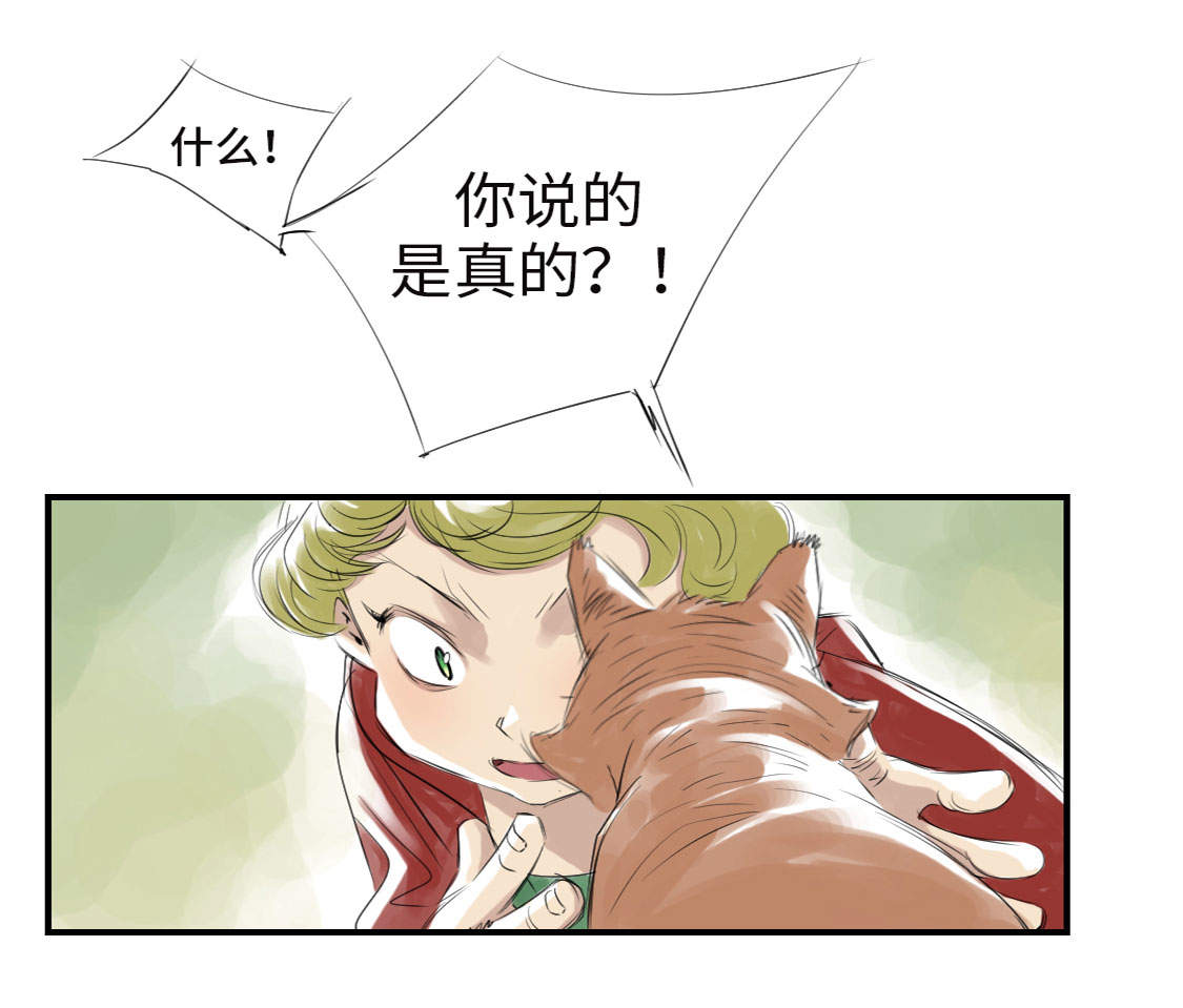 第6章： 阴谋的诞生13