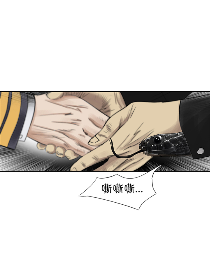 第81章：真实的阴谋29