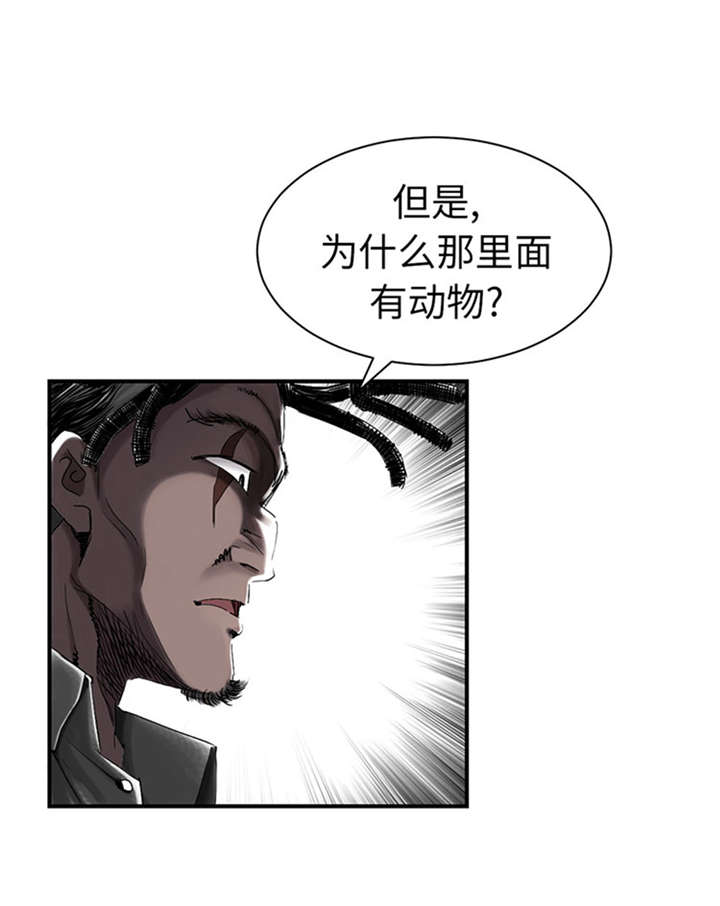 第52章： 惹恼了19