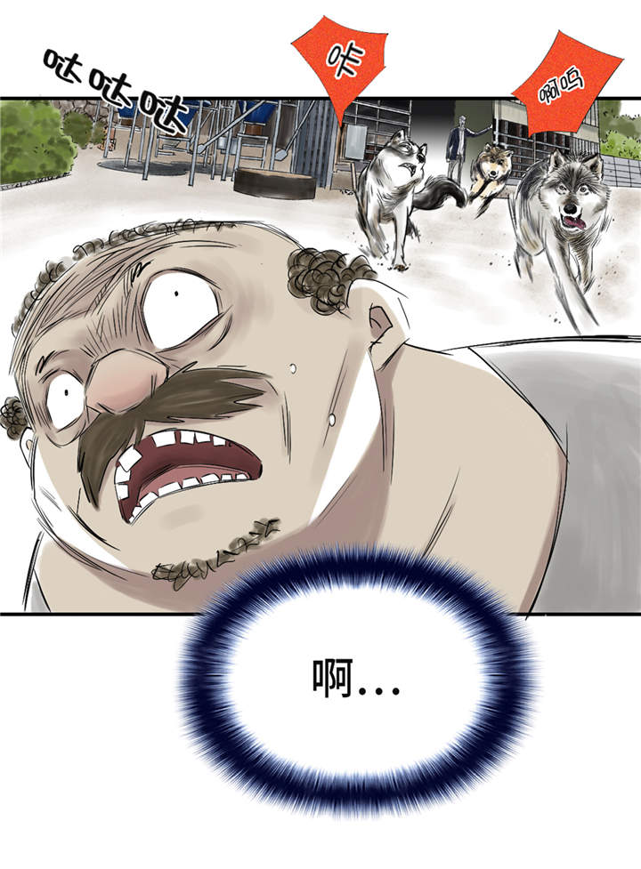 第31章：农场遇袭28