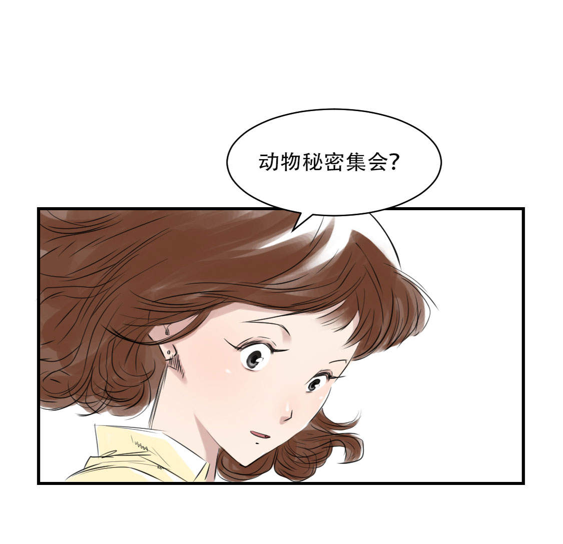 第10章：消失的动物3