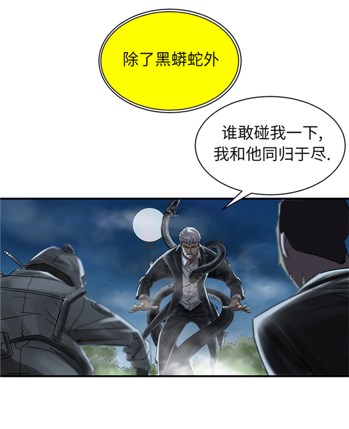 第94章：永不结束的战争(大结局)26