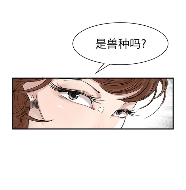 第71章：不知死活20
