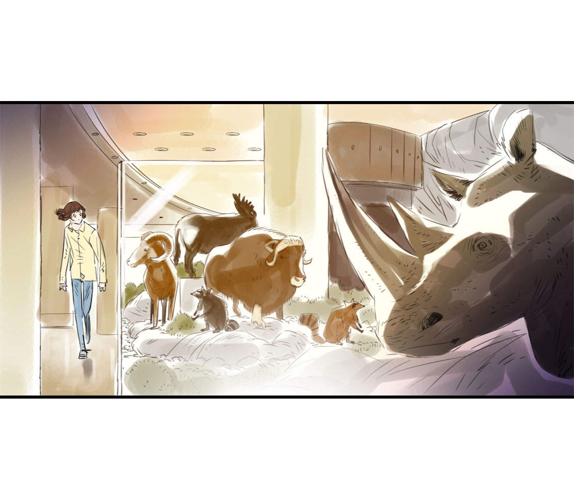 第11章：消失的动物（二）19