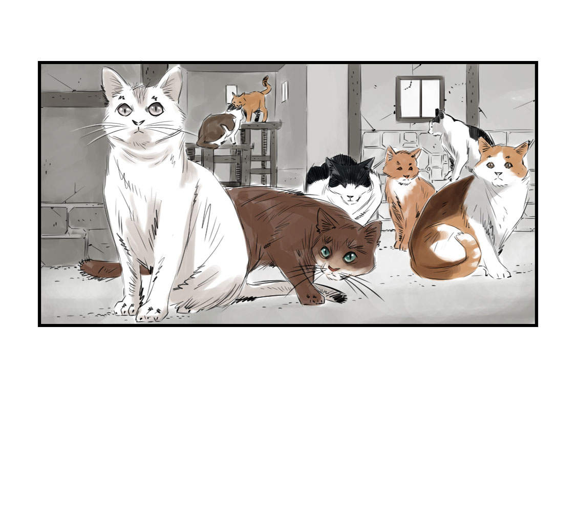 第4章：兽种 伴31