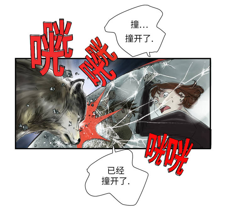 第37章：赌上警察生涯12