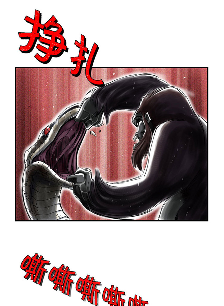 第59章：撕烂你的嘴22