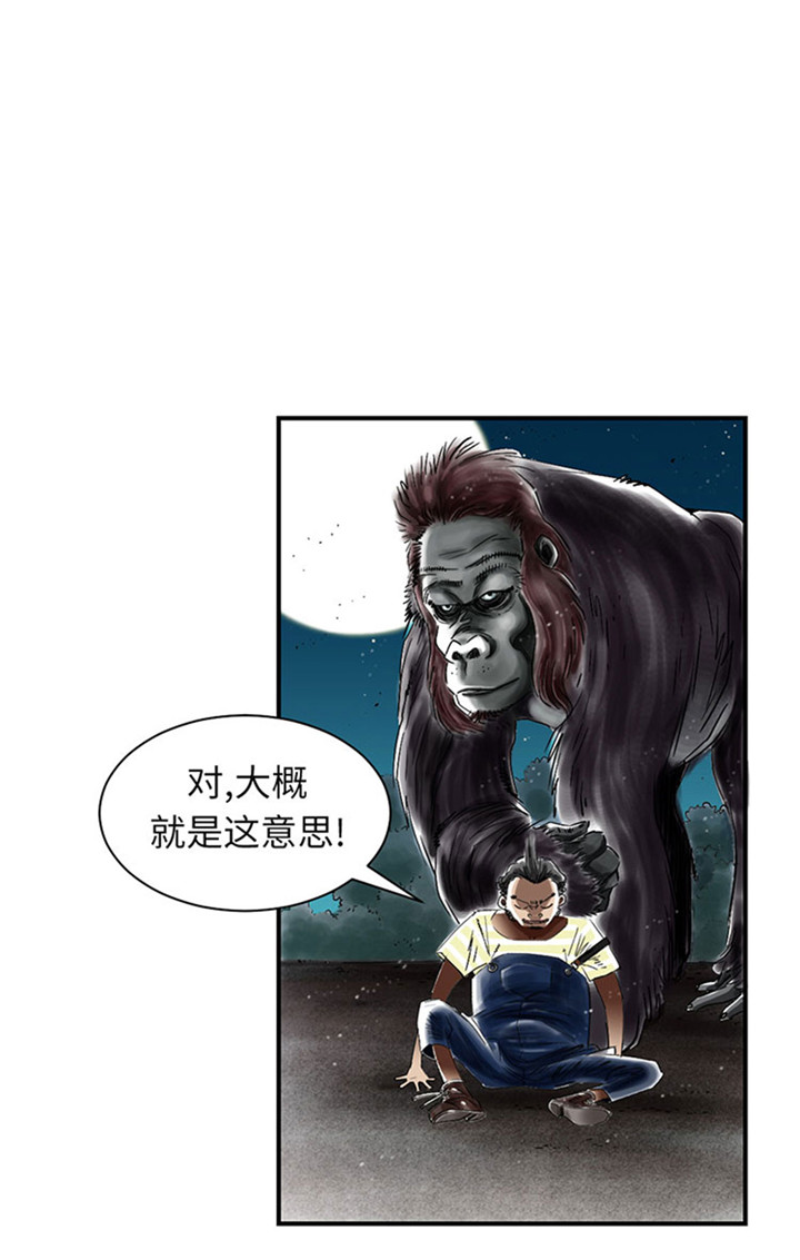 第58章：专属表演21