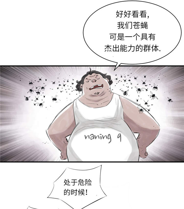 第22章：苍蝇兽种35