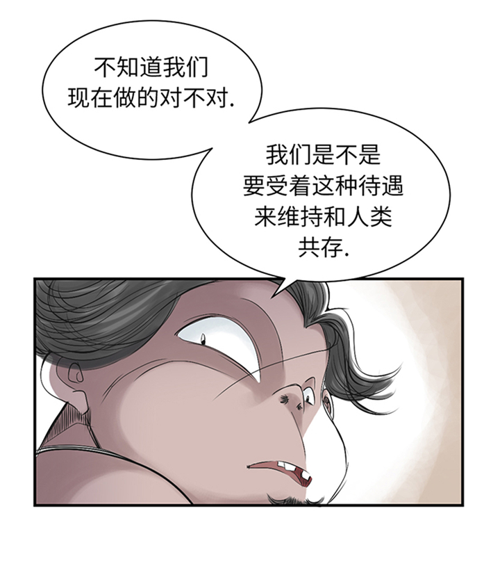 第94章：永不结束的战争(大结局)39
