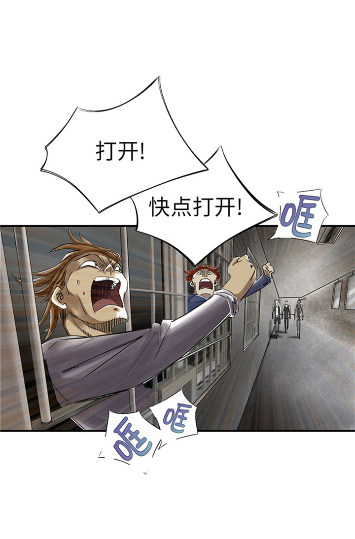 第72章：是狐狸？11
