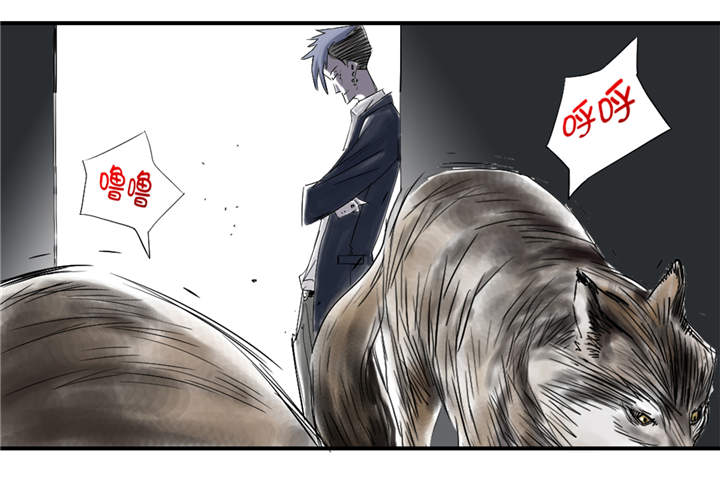第31章：农场遇袭20