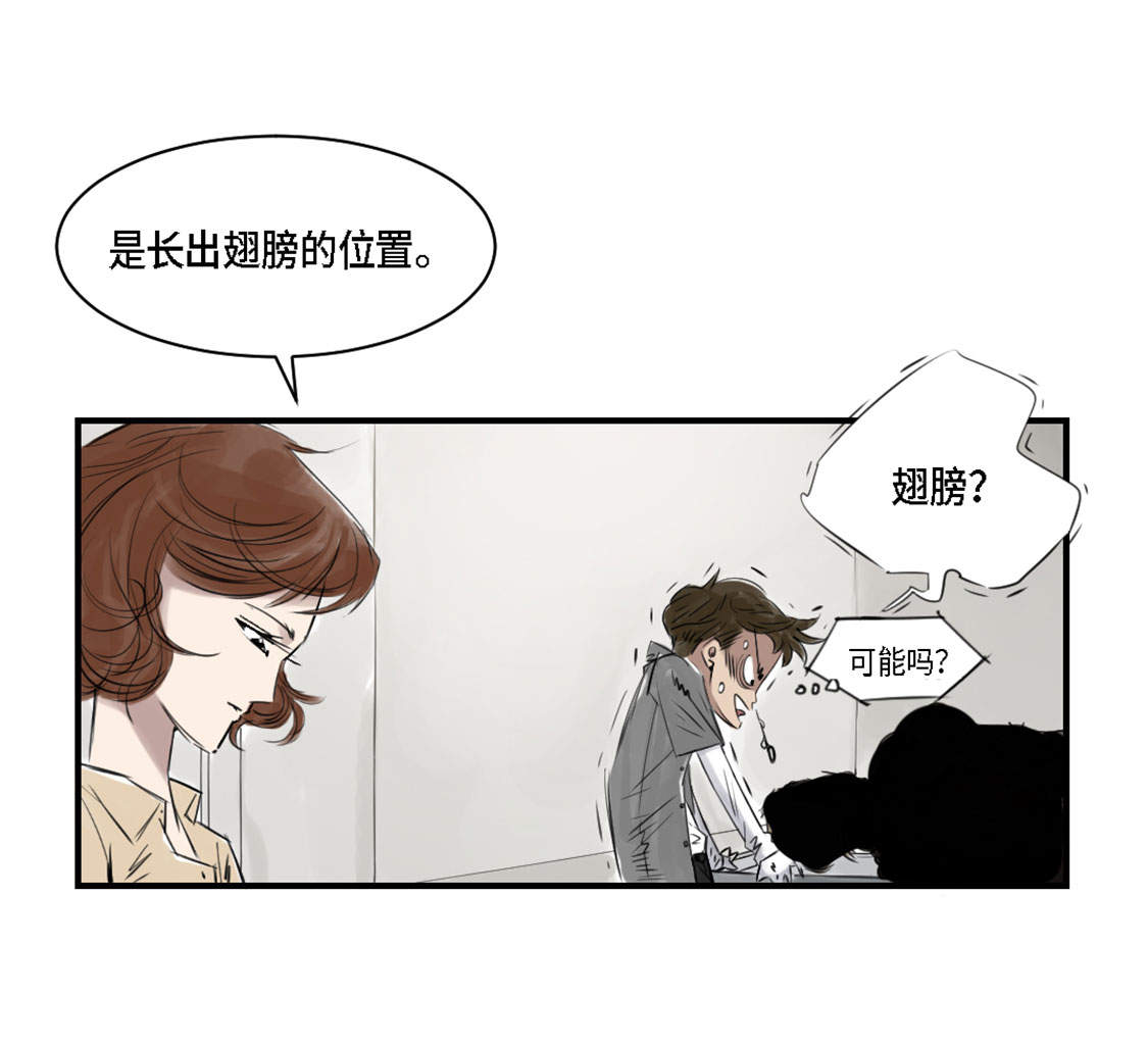 第2章：特别行动队14