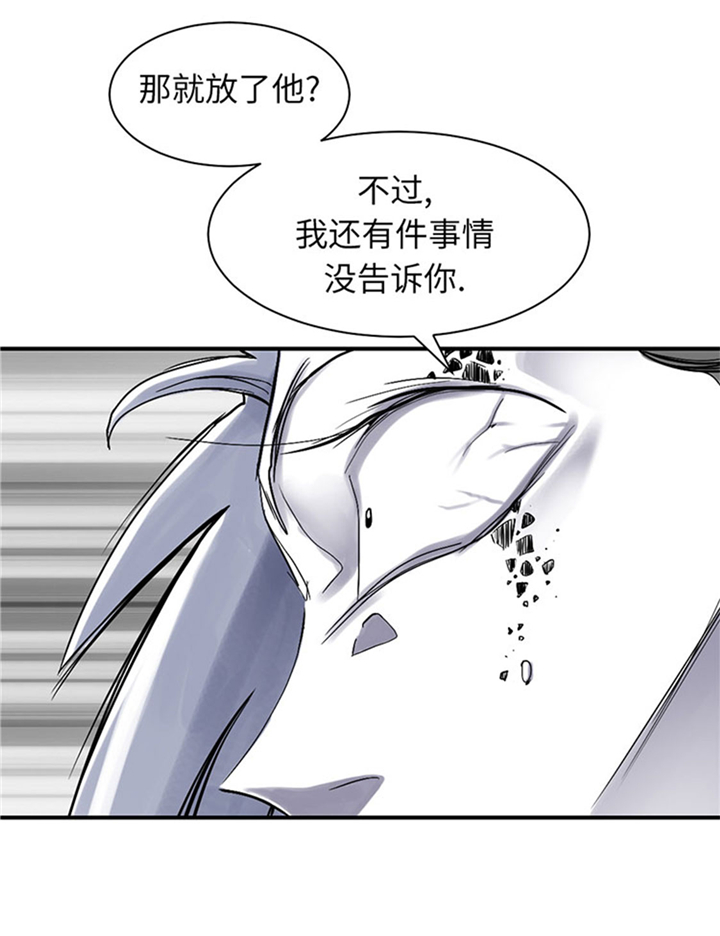 第67章：搞砸了20