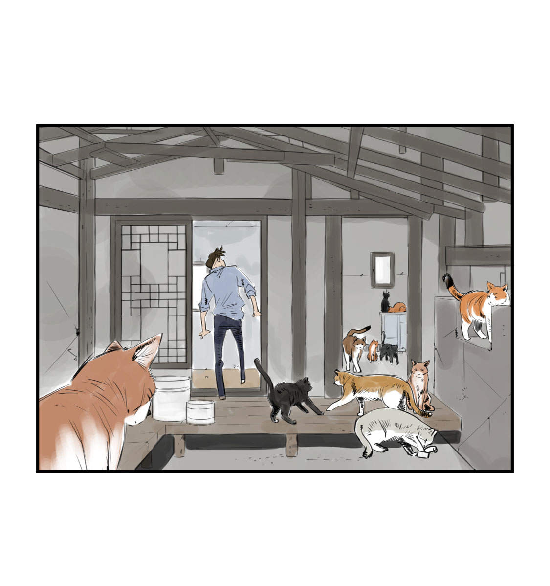 第4章：兽种 伴38